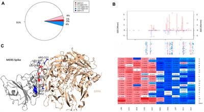 In-silico investigation of systematic missense mutations of middle east respiratory coronavirus spike protein